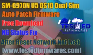 SM-G970N U5 OS10 Dual Sim Auto Patch Firmware Free Download