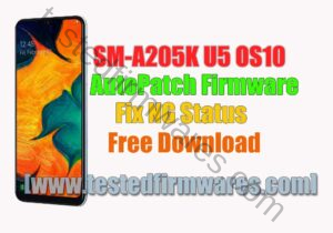 SM-A205K U5 OS10 AutoPatch {Reset No Lost Network} [Without any Tools Just Flash by Odin3][www.testedfirmwares.com]