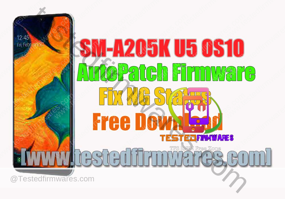 SM-A205K U5 OS10 AutoPatch {Reset No Lost Network} [Without any Tools Just Flash by Odin3][www.testedfirmwares.com]