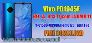 Vivo PD1945F_EXE_A_8.13.1 Qcom LA UM 9.11 r1-01500-NICOBAR-sm6125_split File By[www.testedfirmwares.com]