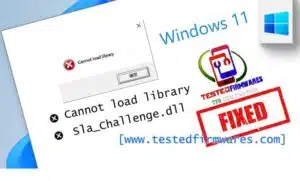 Cannot load library Sla_Challenge.dll