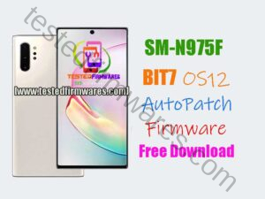 N975F BIT7 OS12 Auto Patch