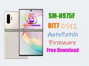 N975F BIT7 OS12 Auto Patch